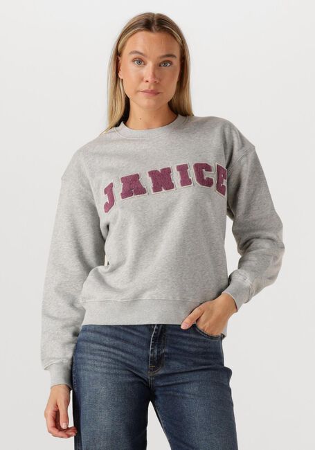 Grijze JANICE Sweater ANDY - large