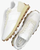 Witte TOD'S Sneakers XXM25K0FL90 - medium