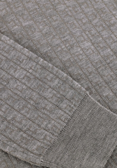 Lichtgrijze ELISABETTA FRANCHI Trui KNITTED SWEATER - large