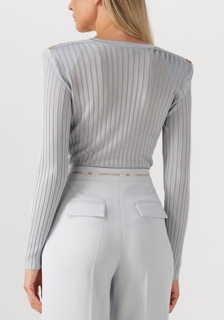 Lichtgrijze ELISABETTA FRANCHI Trui KNITTED SWEATER - large