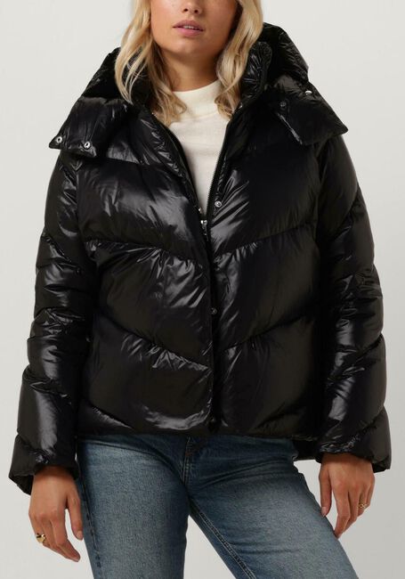 Zwarte BEAUMONT Gewatteerde jas KARLIE - large