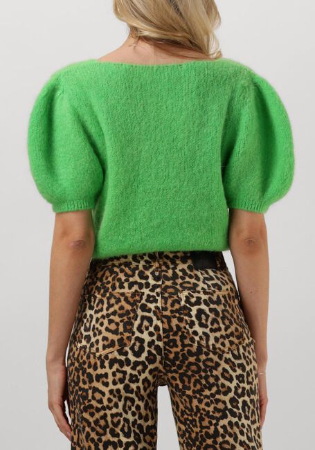 Groene AMERICAN DREAMS Trui LOLANDA - large