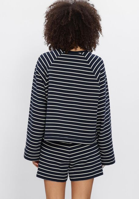 Donkerblauwe DEBLON SPORTS Sweater DANA STRIPED SWEATER - large