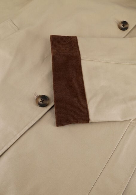 Beige STUDIO AR Trenchcoats FIORA COTTON TWILL - large