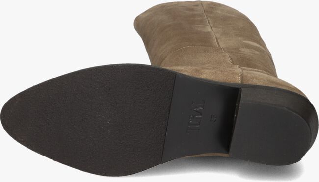 TORAL 12777 TORAL 12777 - large