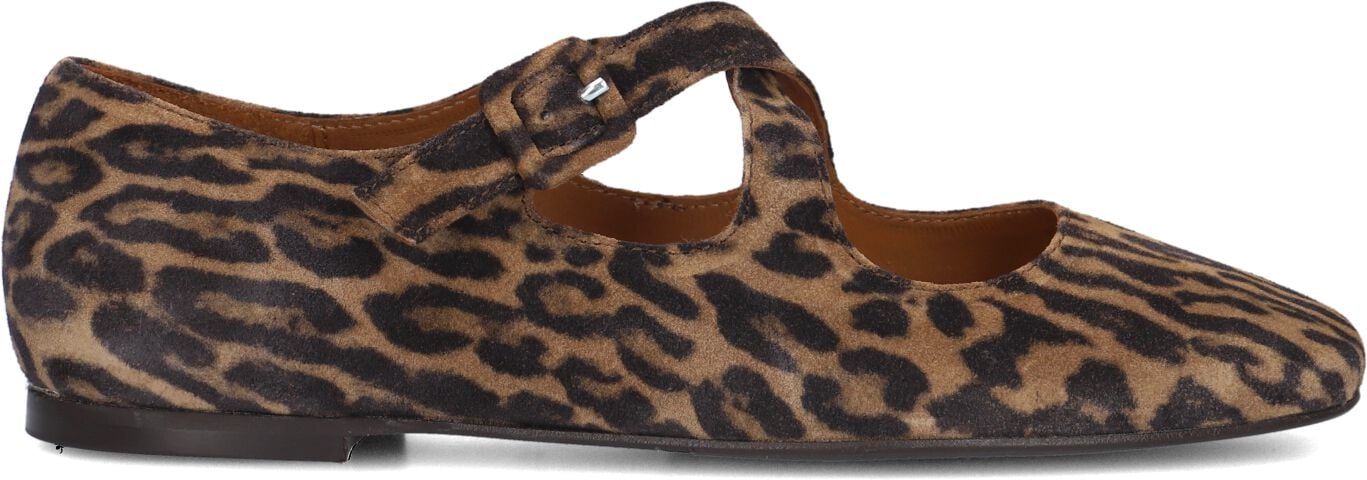 Billi Bi Ballerina
Dames A8314, Maat: 36, Kleur: Bruin