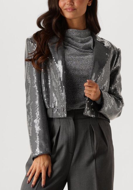 Grijze AAIKO Blazer MILLE SEQUINS PES 356 - large