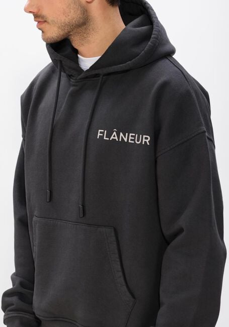 Antraciet FLANEUR Sweater DOUBLE LOGO HOODIE WASHED - large