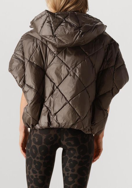 Taupe DEBLON SPORTS Gewatteerde jas STEVIE BODYWARMER - large