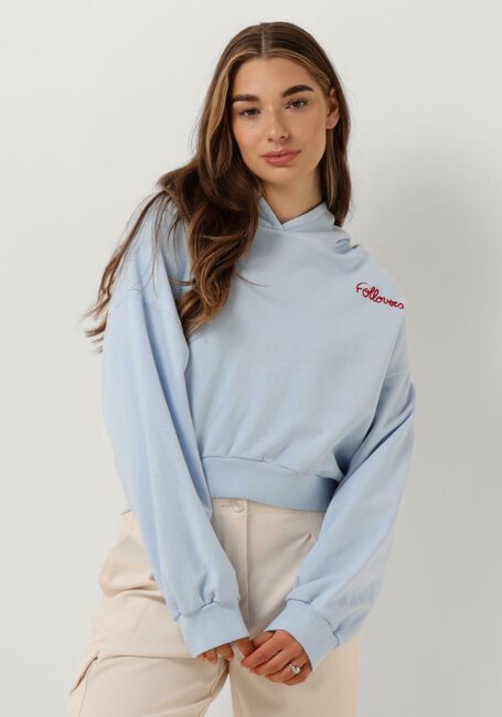 Lichtblauwe FOLLOVERS Trui KYLIE - large