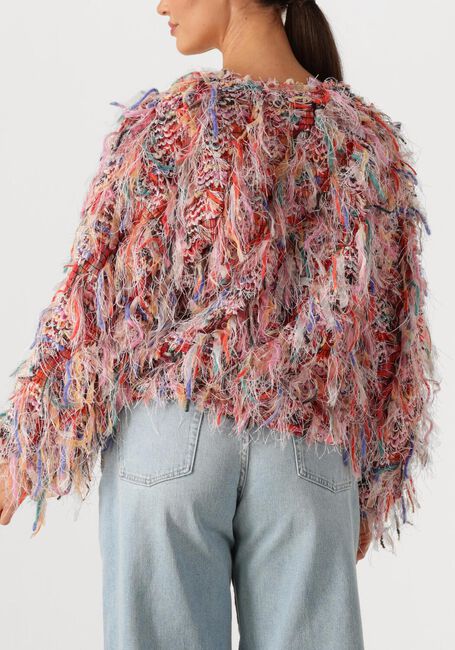 Multi AMAYA AMSTERDAM Trui JARDIN - large