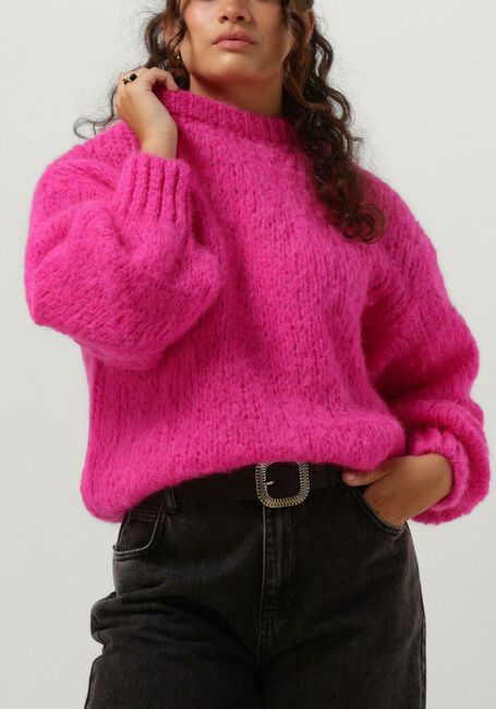 Roze AMERICAN DREAMS Trui LEONNIE ALPACA PULLOVER - large