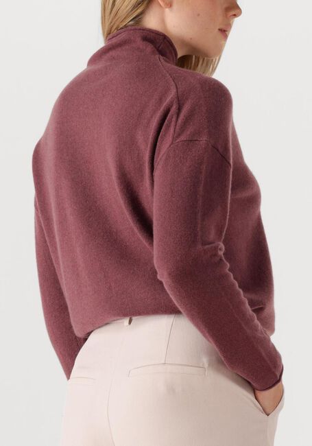 Roze LUISA CERANO Trui 128699/5871 - large