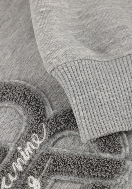 Grijze ANINE BING Truien/vesten JACI HOODIE LETTERMAN - large