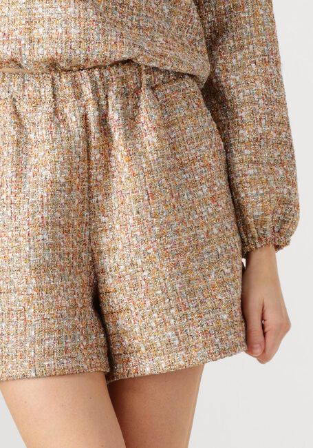 Multi AMAYA AMSTERDAM Korte broek MITSY - large