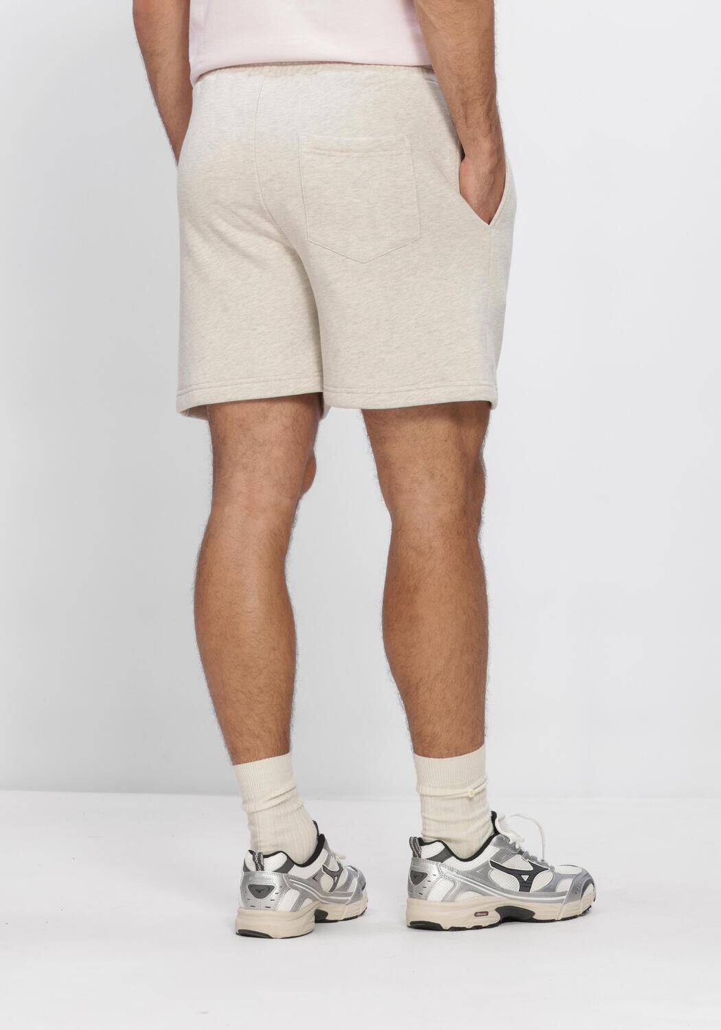 Grijze FLANEUR Korte broek SIGNATURE SHORTS - large