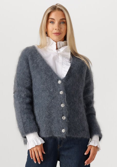 Donkergrijze AMAYA AMSTERDAM Vest ROOS KNITWEAR - large