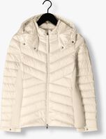 Witte BEAUMONT Jack DEVI Witte BEAUMONT Jack DEVI - medium