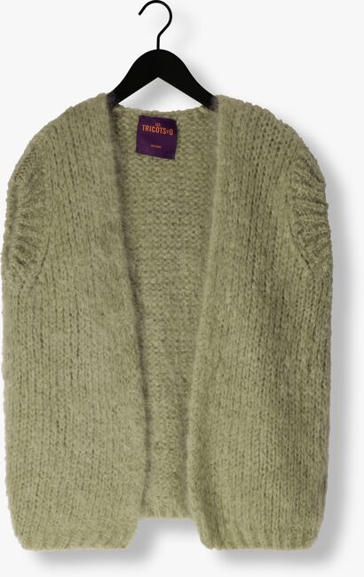 Groene LES TRICOTS D'O Vest CAMILLE Groene LES TRICOTS D'O Vest CAMILLE - large