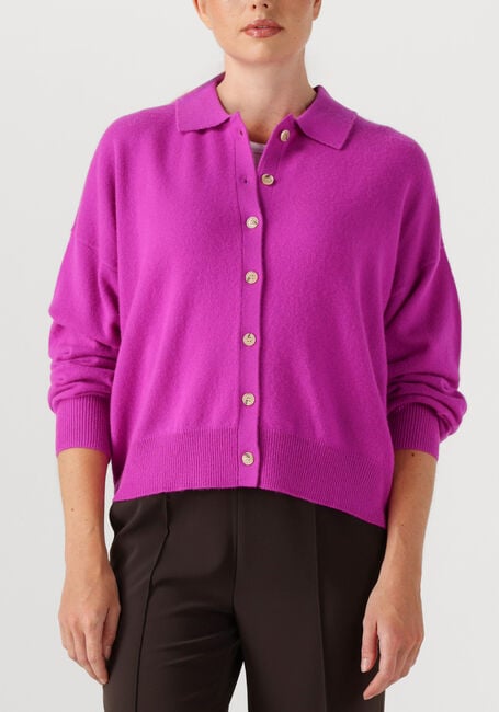 Paarse ABSOLUT CASHMERE Vest MAJURA - large