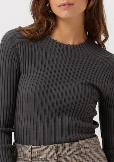 Grijze AAIKO Longsleeves BENTE VIS 300 - large