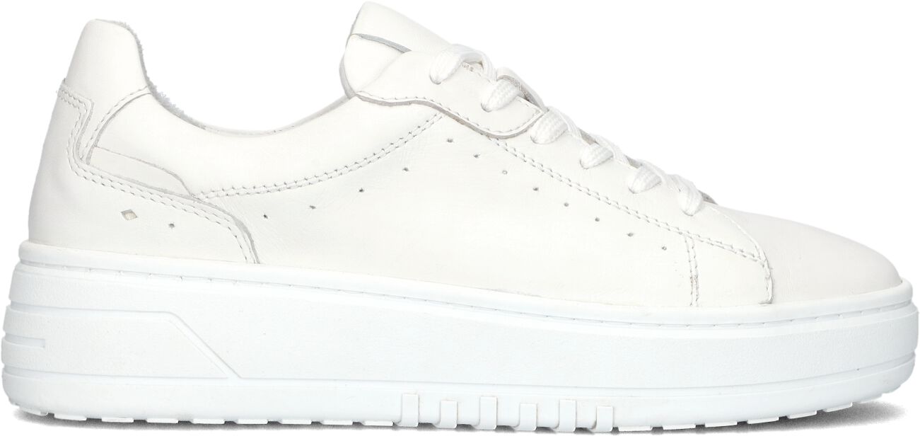 Blasz Lage Sneakers Dames Anemone-02, Maat: 36, Materiaal: Leer, Kleur: Wit