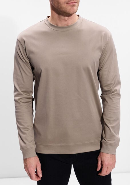 Taupe VALENZA Trui HEAVY SUPIMA SWEATER - large