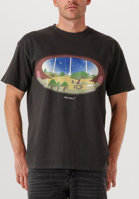 Antraciet FLANEUR T-shirt STARDOME T SHIRT - large