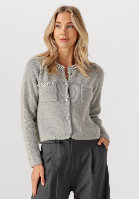 Lichtgrijze SUNCOO Vest GARVI - large