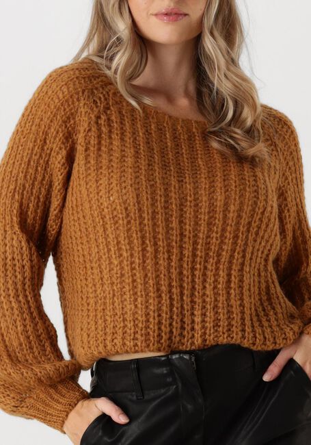 Camel AMAYA AMSTERDAM Trui ACE KNITWEAR - large