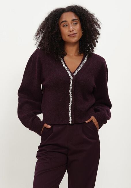 Bordeaux AMAYA AMSTERDAM Trui SIA KNITWEAR - large