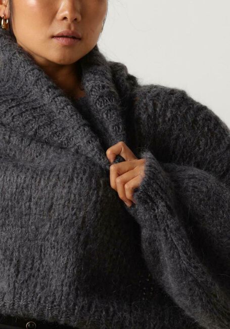 Grijze AMERICAN DREAMS Coltrui PEPPER ROLL NECK CROPPED - large