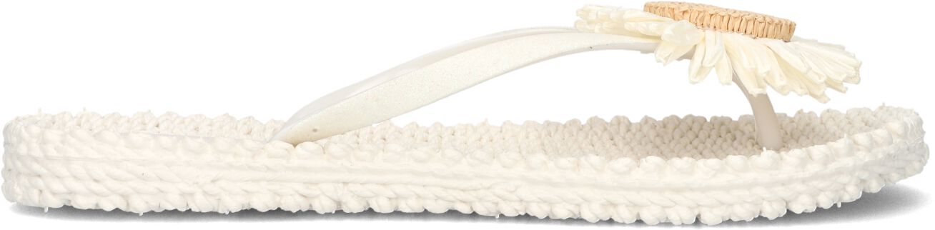 Ilse Jacobsen Teenslippers Dames Cheerful16f, Maat: 40, Materiaal: Rubber, Kleur: Beige afbeelding 1