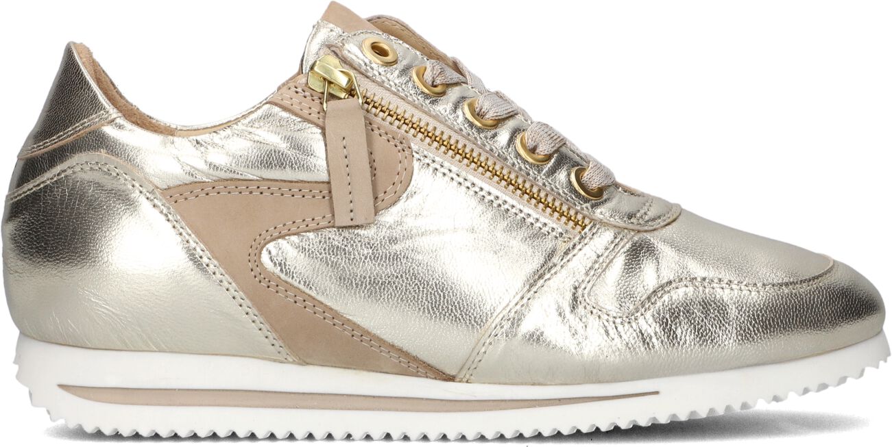Mace Lage Sneakers Dames M3104, Maat: 38, Materiaal: Leer, Kleur: Goud