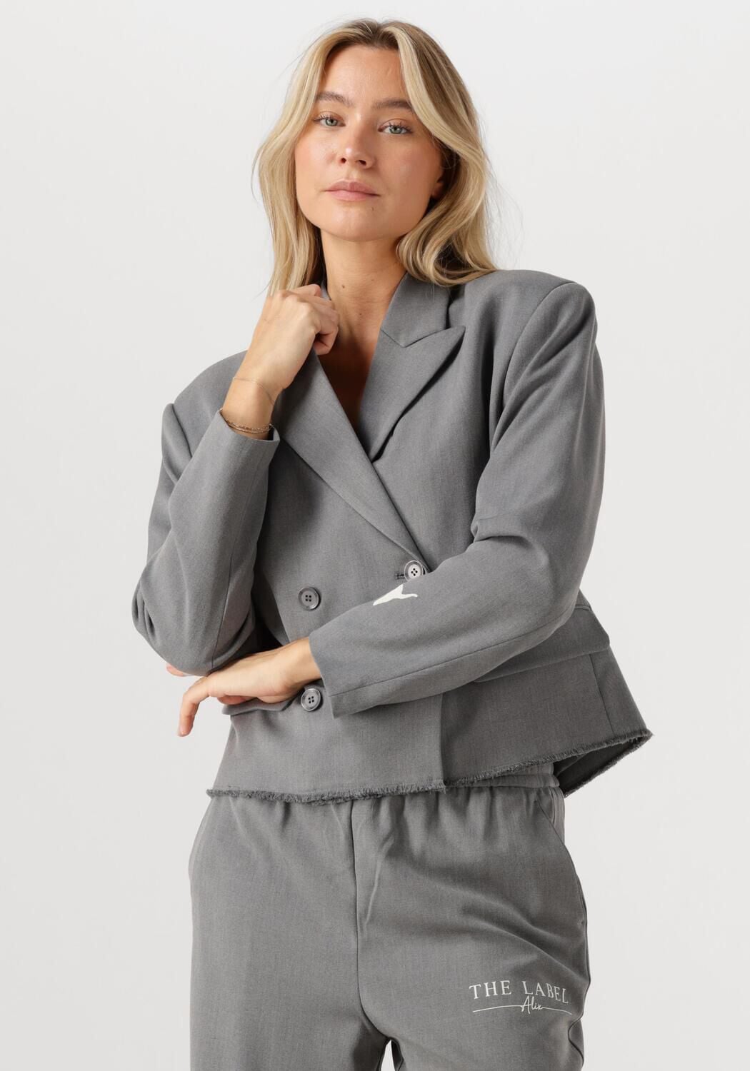 Grijze ALIX THE LABEL Blazer DOUBLE BREASTED BLAZER | Assem
