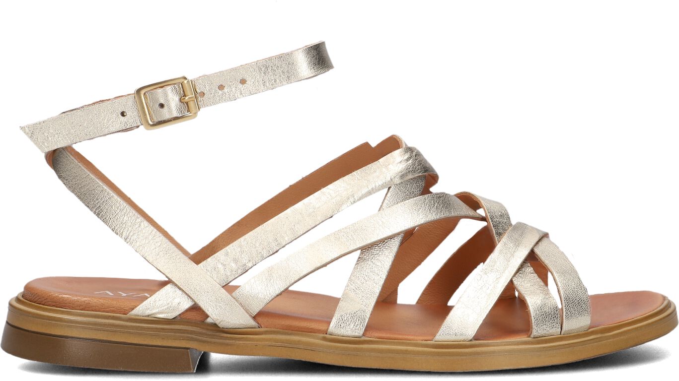 Ayana Sandalen
Dames M05089, Maat: 40, Materiaal: Leer, Kleur: Goud