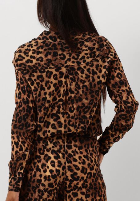 Bruine JANICE Blouses DYLAN - large
