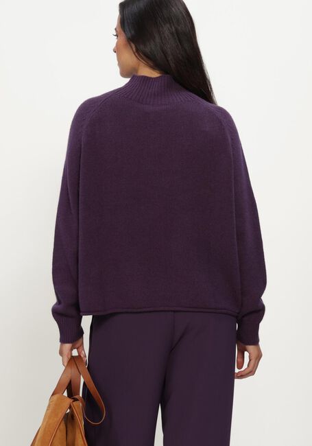 Paarse LUISA CERANO Trui TURTLENECK AUS KASCHMIR-MIX - large