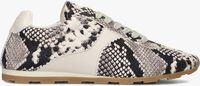 Beige TORAL Lage sneakers VINCI Beige TORAL Lage sneakers VINCI - medium