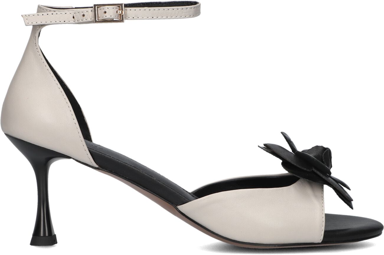 Toral Pumps Dames Rita