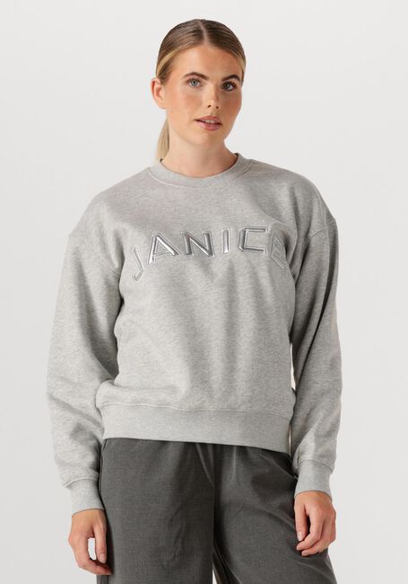 Grijze JANICE Sweater ANDY - large