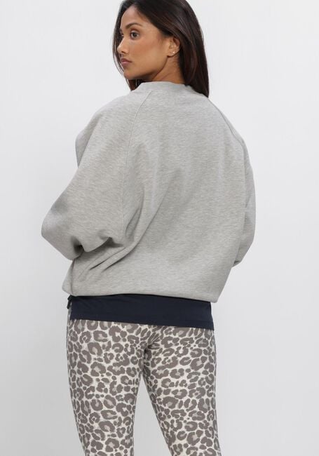 Grijze DEBLON SPORTS Sweater VIVE SWEATER - large