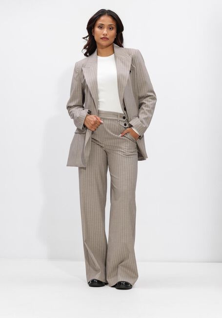 Taupe CO'COUTURE Wijde broek QUIN PIN LL PANT - large