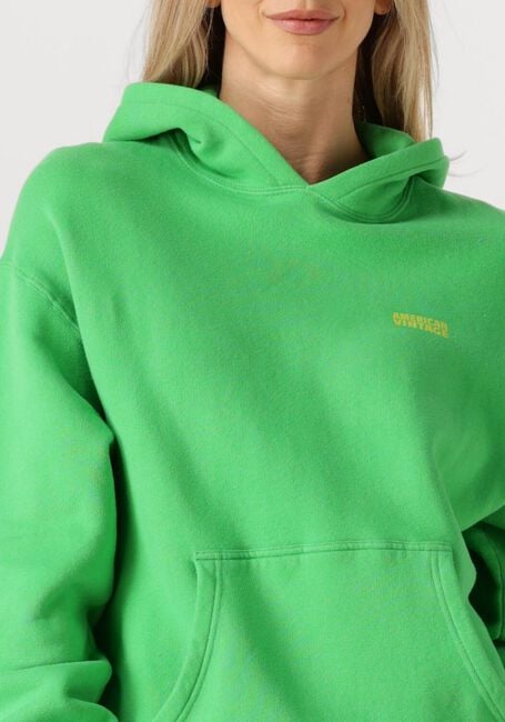 Groene AMERICAN VINTAGE Trui IZUBIRD S - large