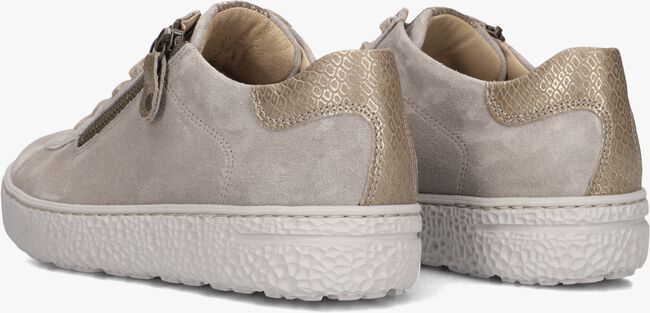 Grijze HARTJES Lage sneakers 162.1402 PHIL Grijze HARTJES Lage sneakers 162.1402 PHIL - large