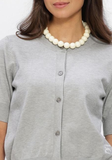 Lichtgrijze STUDIO AR Vest NOOR VISCOSE KNIT - large