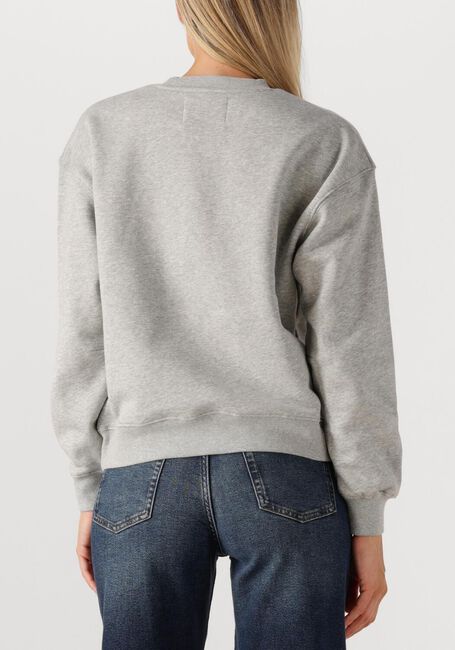 Grijze JANICE Sweater ANDY - large