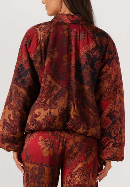 Multi AMAYA AMSTERDAM Jack FAITH - large