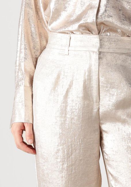 Gouden DANTE6 Pantalon CHARM METALLIC PANTS - large
