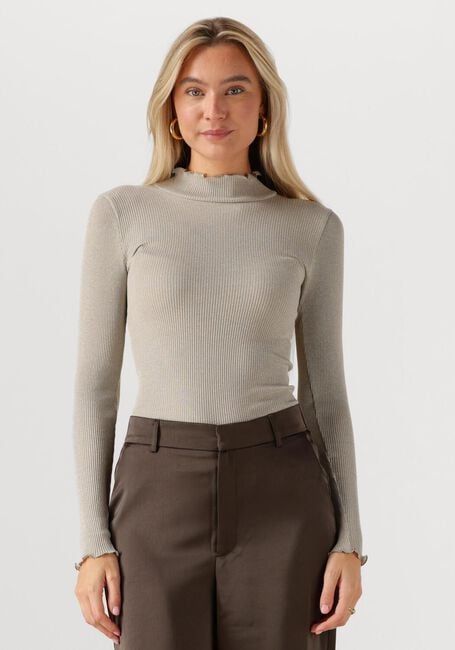 Zand ROSEMUNDE Top BOSTON TURTLENECK W/ LUREX - large